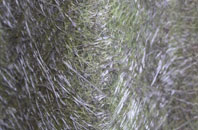 Waitby fibreglass roof work